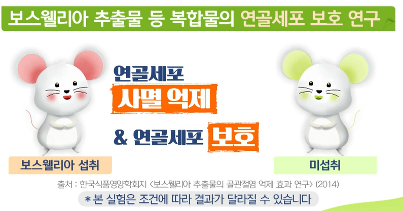 보스웰리아 효능