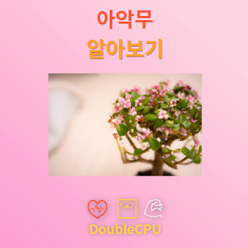 아악무 꽃말 및 탐구