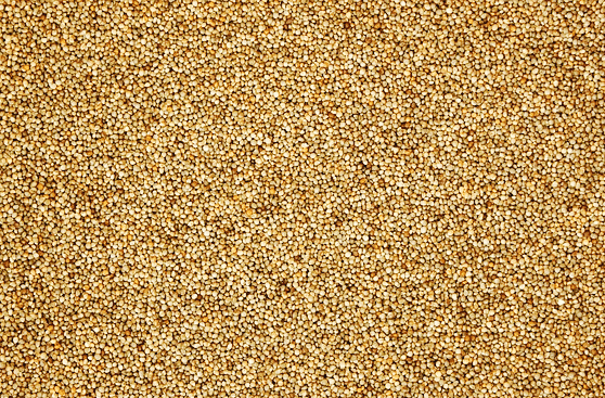아주 작은 좁쌀들이 한가득 모여있다. 색상은 황색이다.