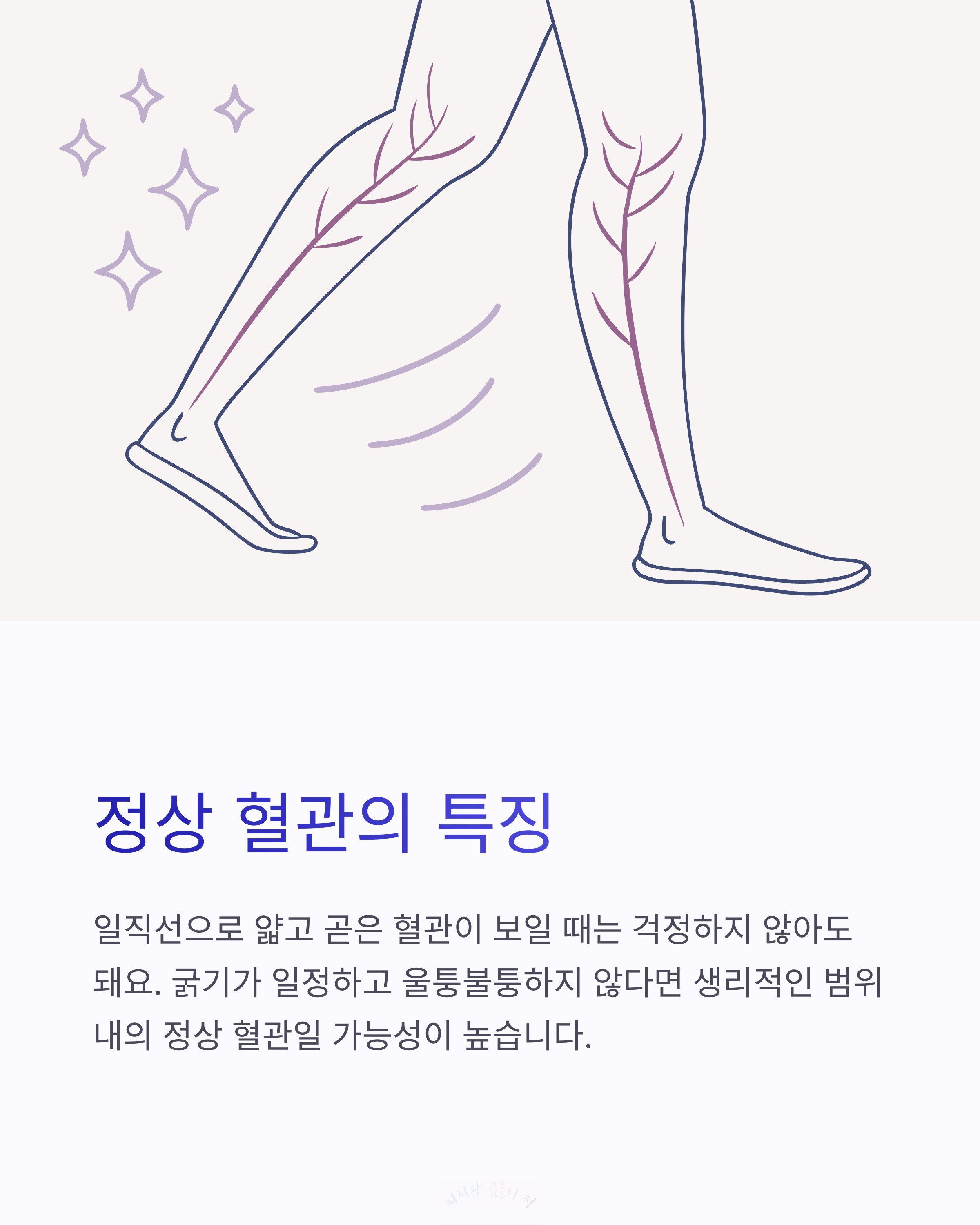 정상 혈관의 특징