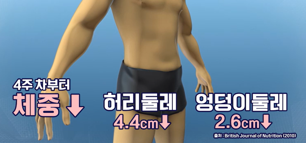 락토페린 효능