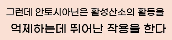  그런데 안토시아닌은 활성산소의 활동을 억제하는데 뛰어난 작용을 한다