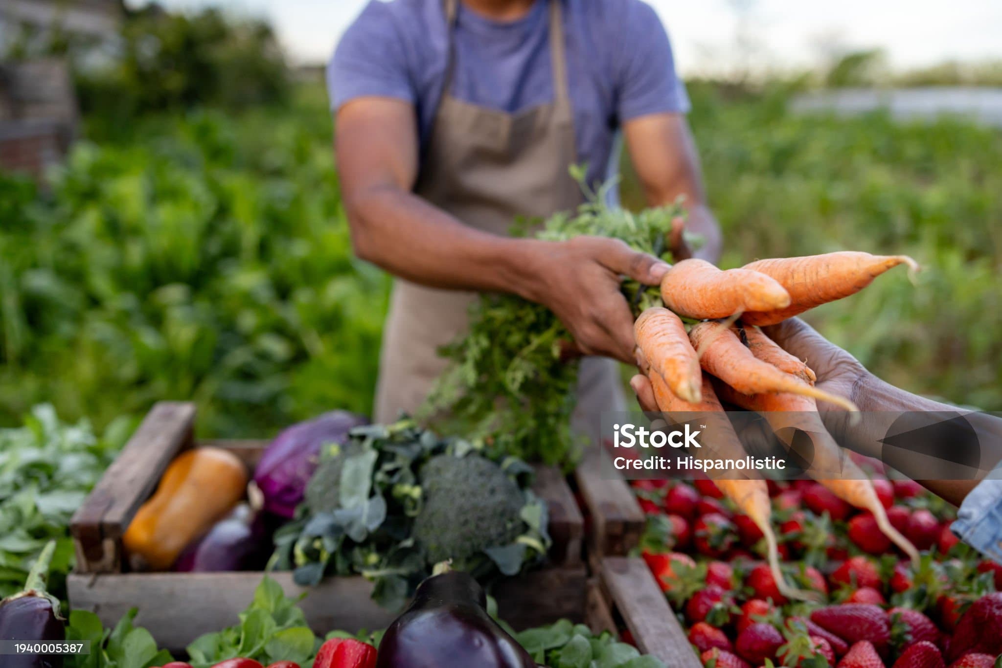 미래 직업: 식물 공장 전문가의 역할과 전망