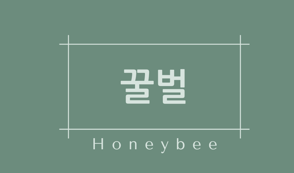 꿀벌(Honeybee)