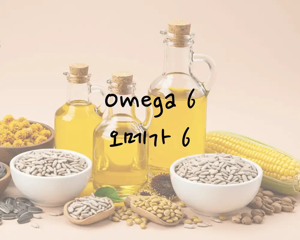 필수 지방산 오메가6