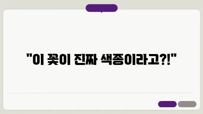 색종이 꽃접기