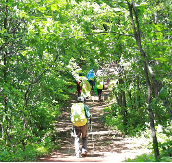 동해 가볼만한곳