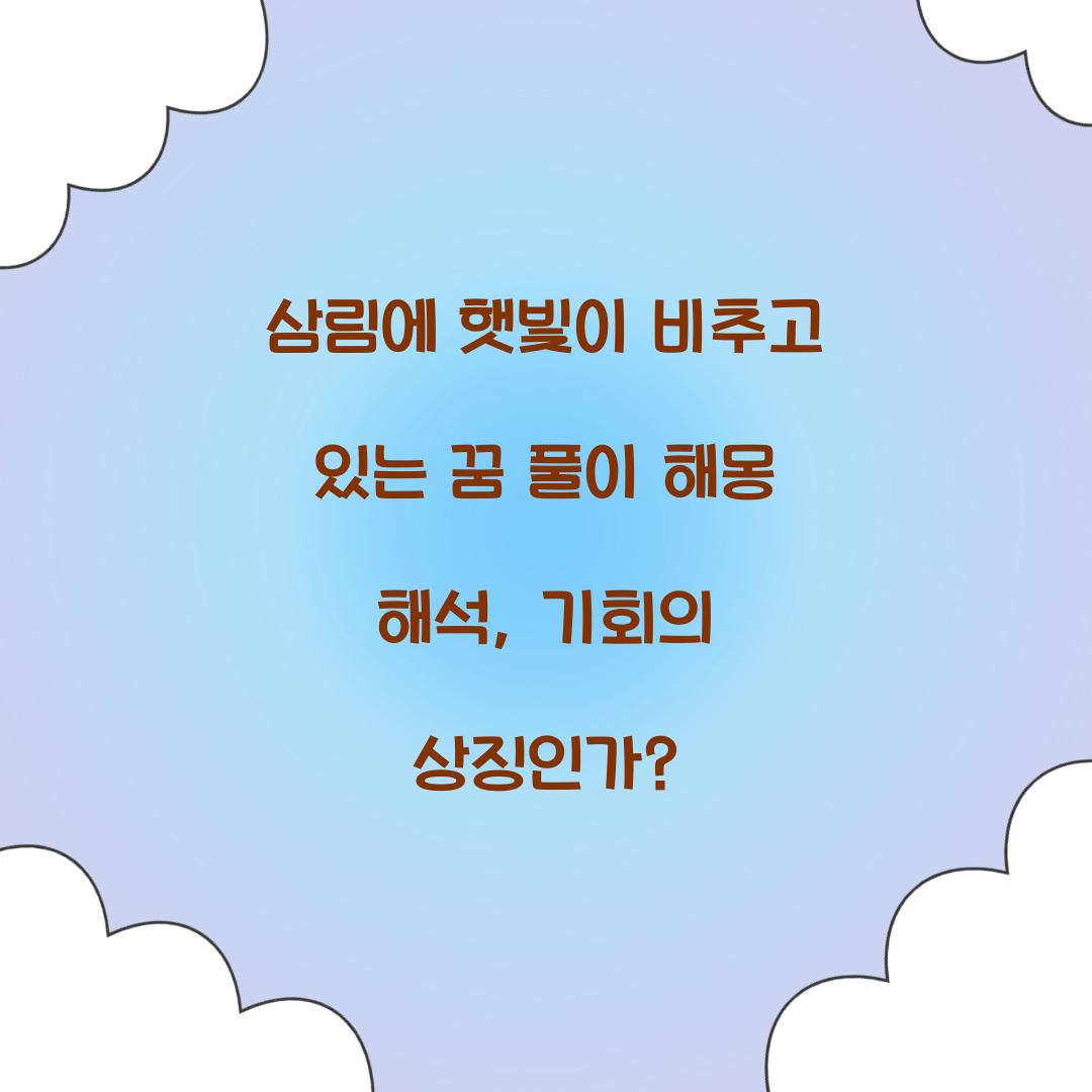 삼림에 햇빛이 비추고 있는 꿈 풀이 해몽 해석