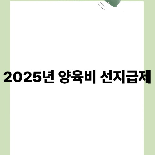 2025년 양육비 선지급제