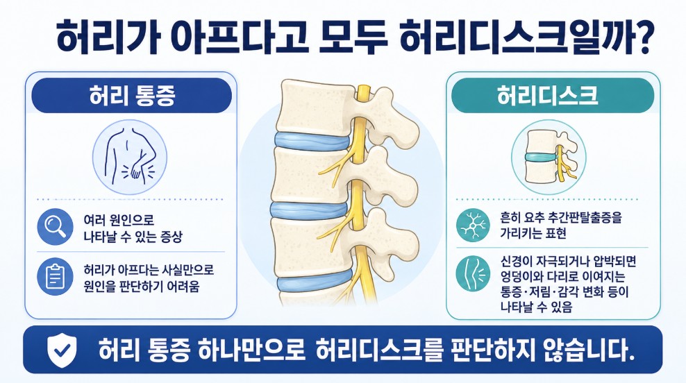 허리 통증과 허리디스크의 차이와 허리디스크에서 다리 통증 저림 등 신경 증상이 나타날 수 있다는 설명