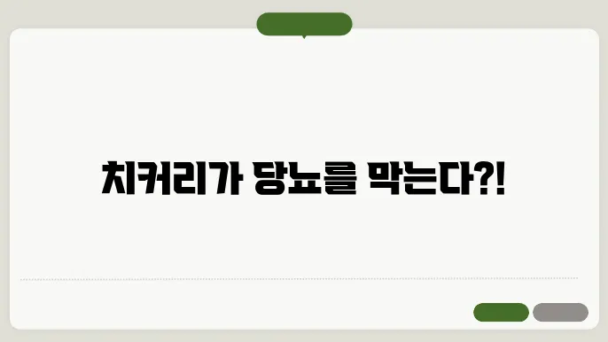 치커리 및 당뇨