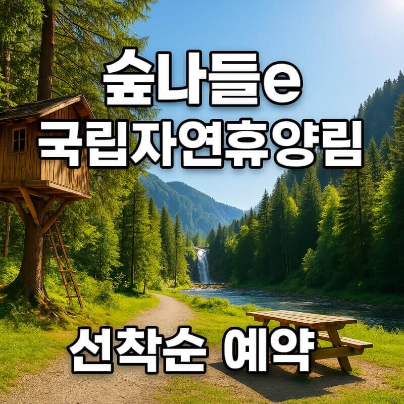 숲나들e 국립자연휴양림 선착순 예약 및 주말 추첨제 안내 관련 사진