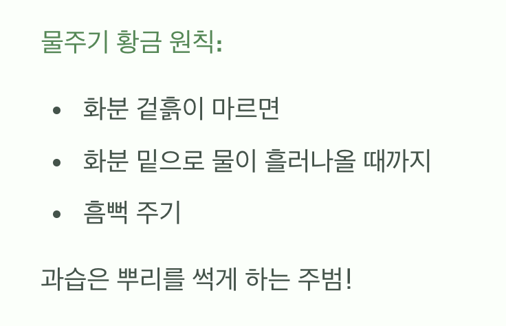 과한 사랑은 금물, 현명한 물주기