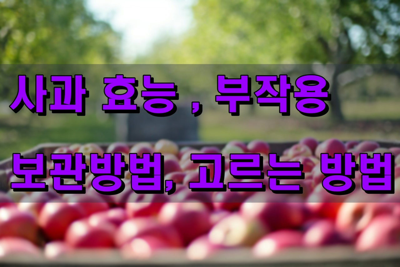 사과 알아보기 썸네일