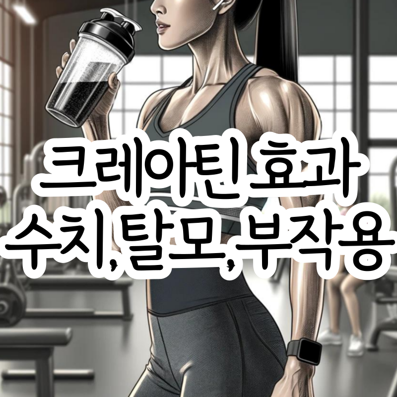 크레아틴 효과 복용법 탈모 부작용 수치