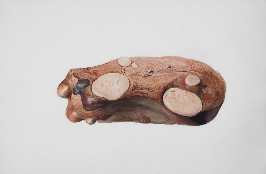 Liver.