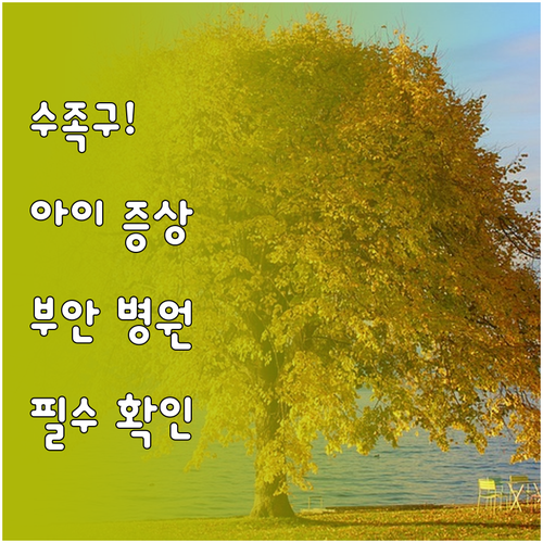 아이 수족구 증상과 부안군 근처 병원..