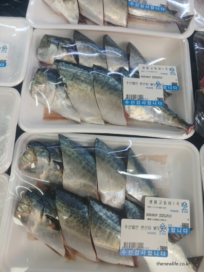 오메가3 지방산이 풍부해 두피 혈액순환을 돕는 여성 탈모에 좋은 고등어