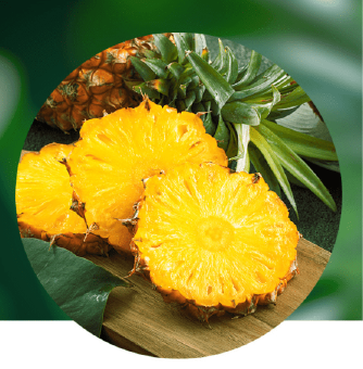 파인애플 효소 브로멜라인이 비문증에 효과적이라고? (효능&amp;#44; 부작용&amp;#44; 후기)