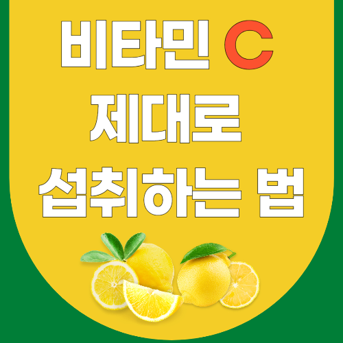 비타민c