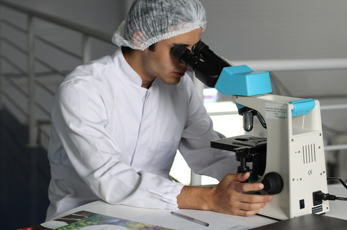 STEM 전공 뉴질랜드 대학생 사진