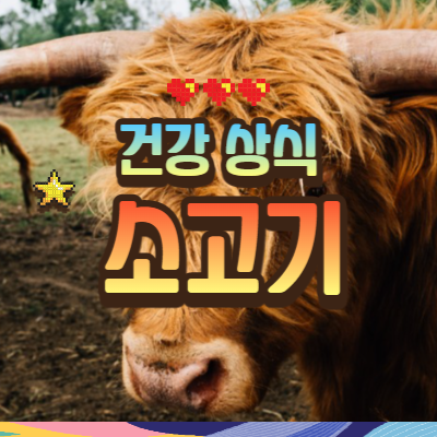 소고기 효능