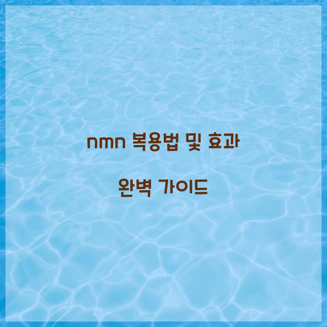 nmn 복용법