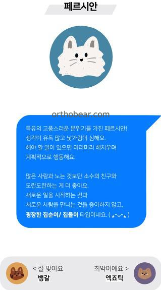 페르시안 mbti