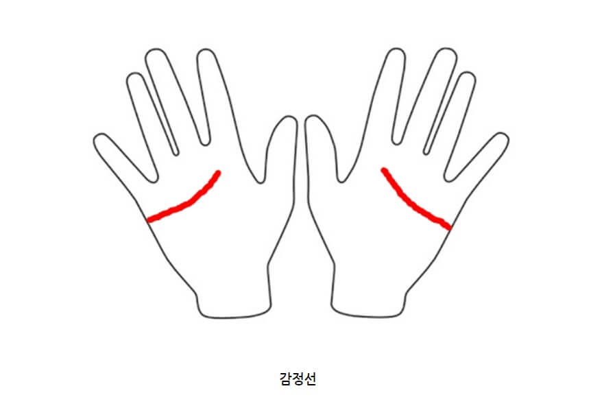 남자 손금 보는 법-감정선
