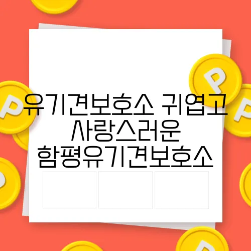 유기견보호소 귀엽고 사랑스러운 함평유기견보호소
