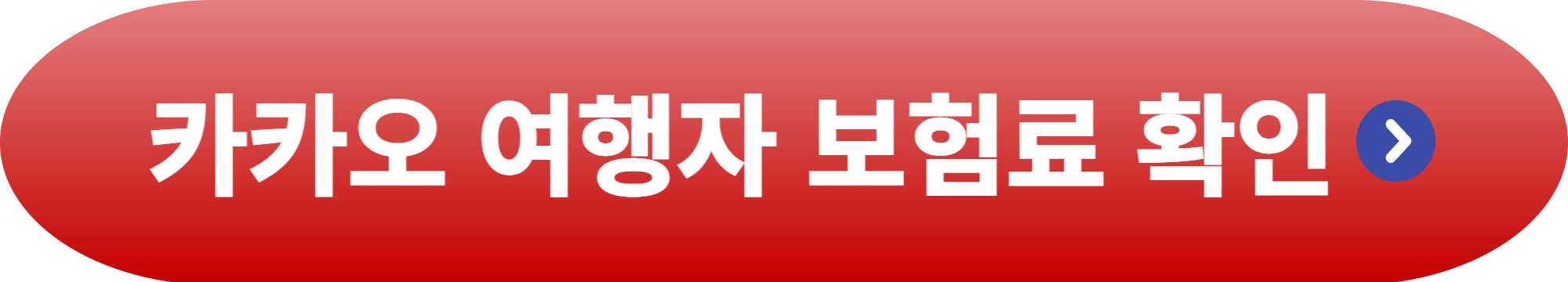 카카오 여행자 보험