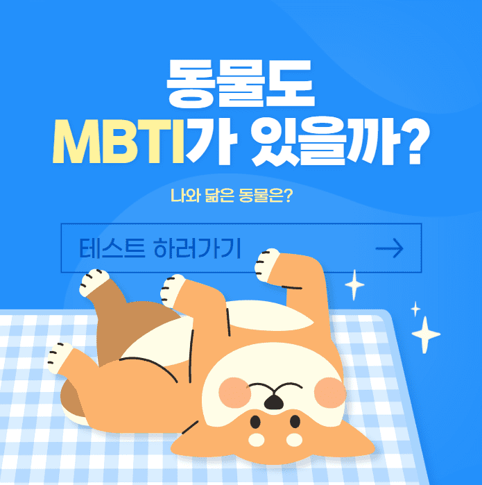 강아지 고양이 MBTI