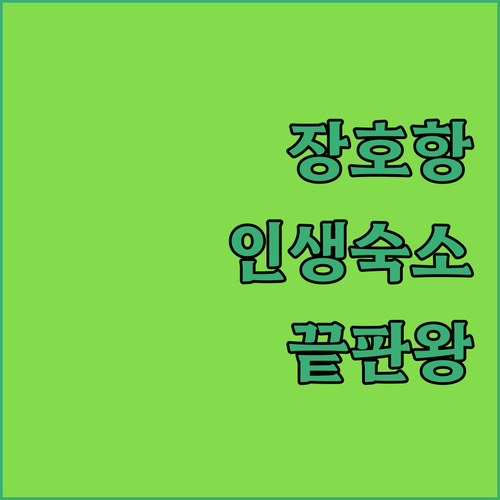 삼척 장호항 가족 여행용 복층 펜션부..