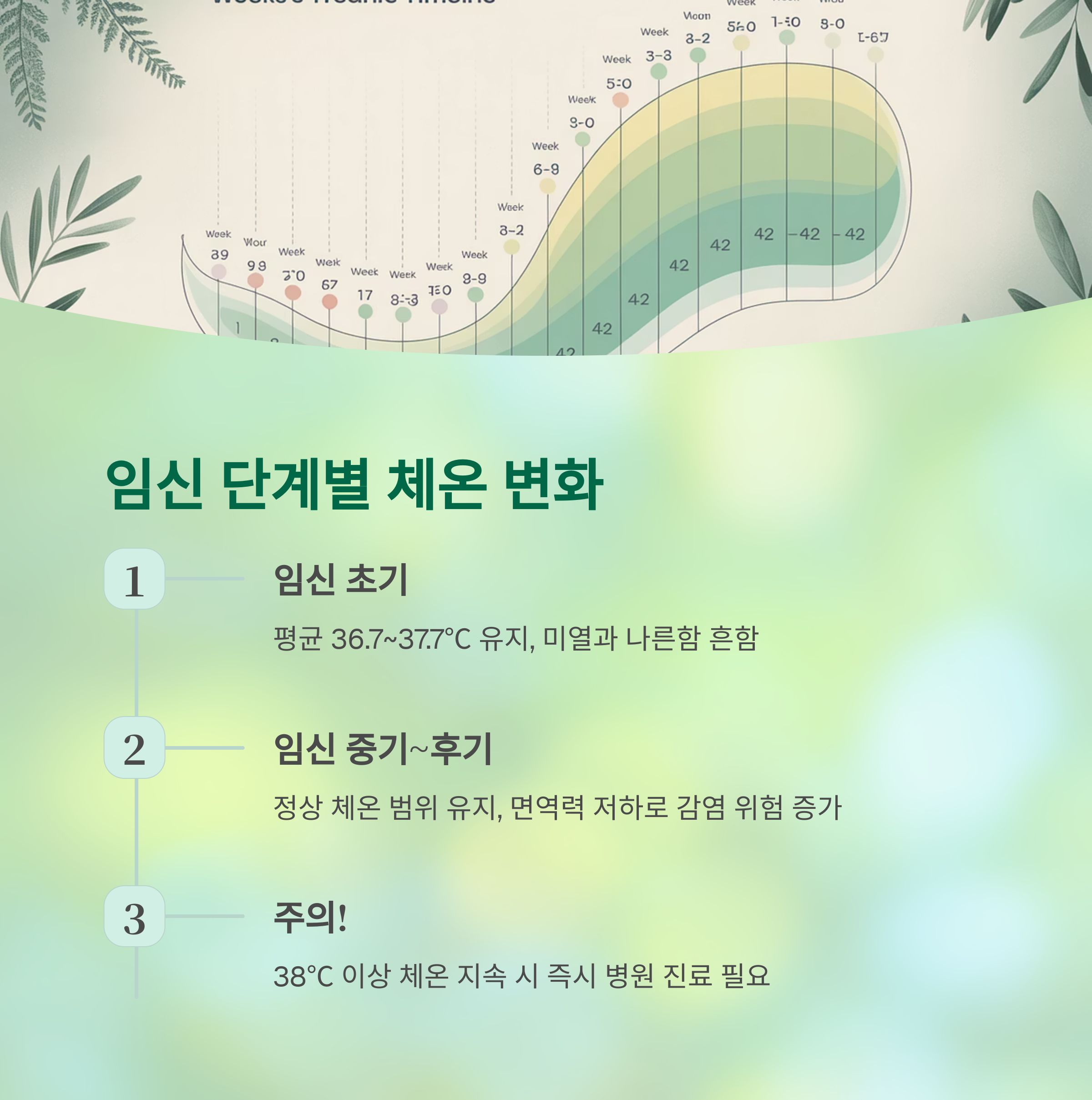 임신 중 체온 변화 &ndash; 단계별 변화