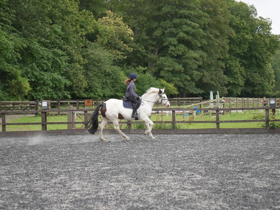 Trot