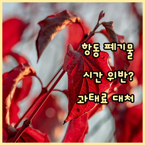 항동 폐기물 배출 시간 위반 시? 과..