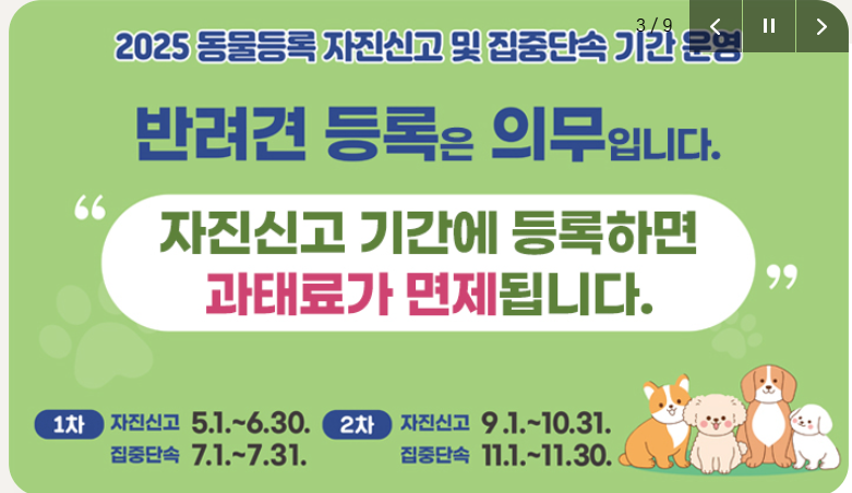 반려견 자진신고 기간을 이용해 등록하세요