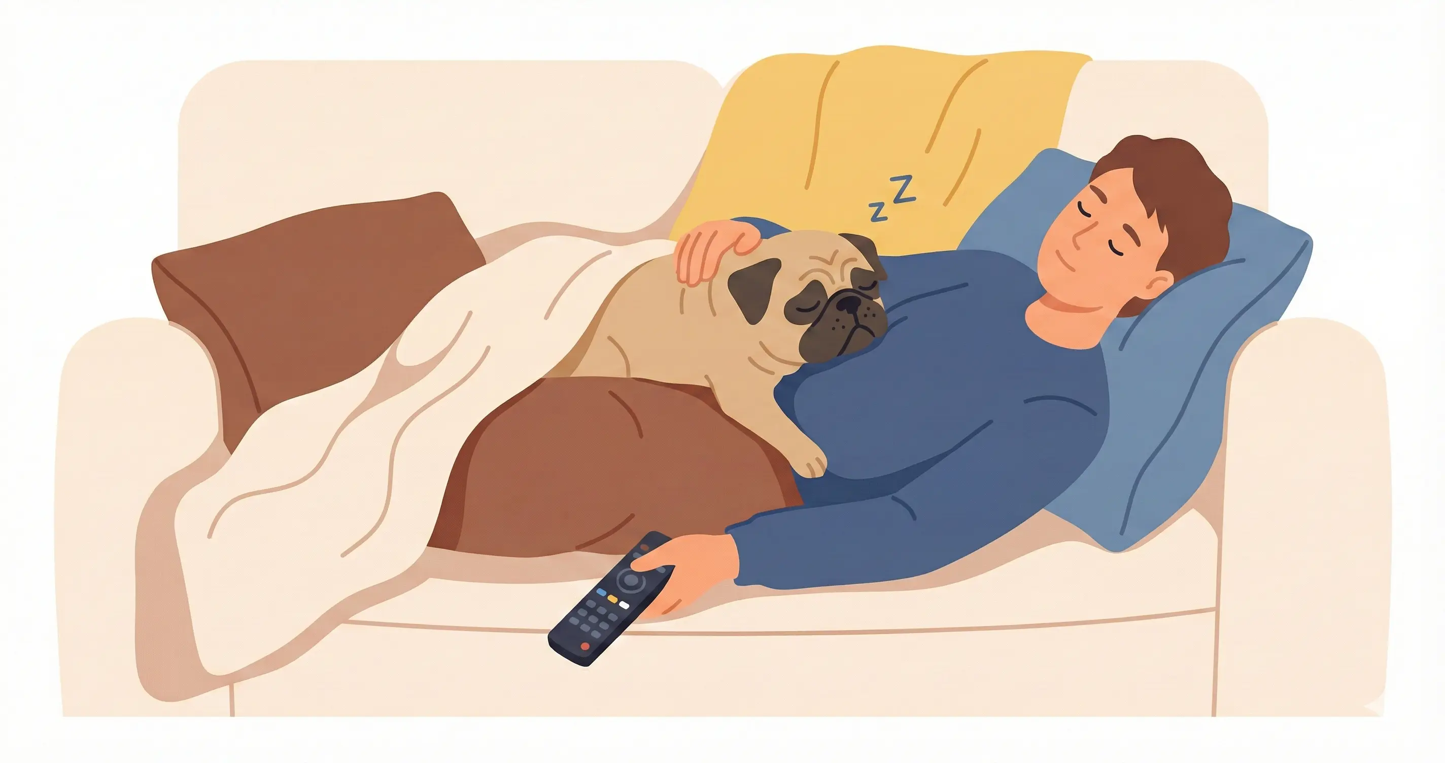 소파에 누워있는 보호자 배 위에 올라가 찰싹 붙어 자고 있는 퍼그 벨크로 독