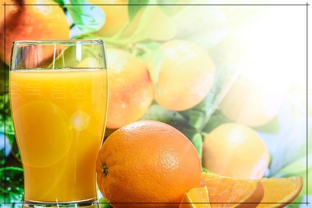 민생지원금 요일제 신청기간 놓치면??