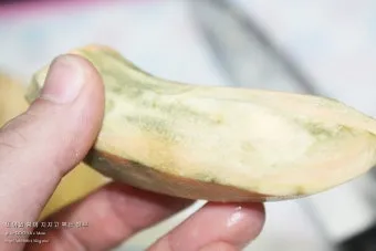 썩은 고구마 구별법 안전하게 먹기_21