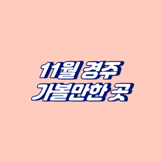 11월 경주 가볼만한 곳