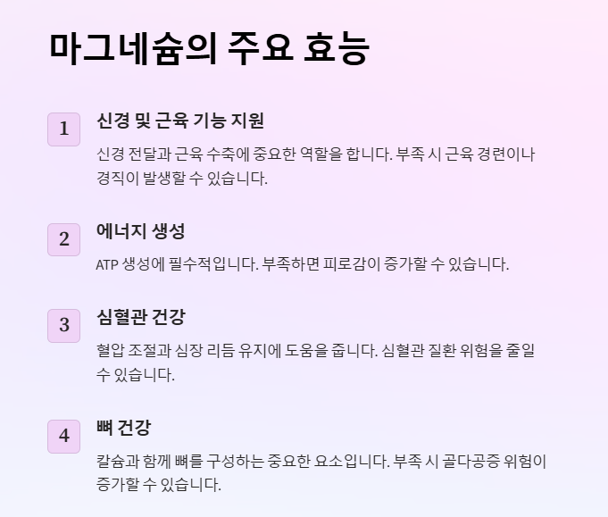 마그네슘 주요 효능