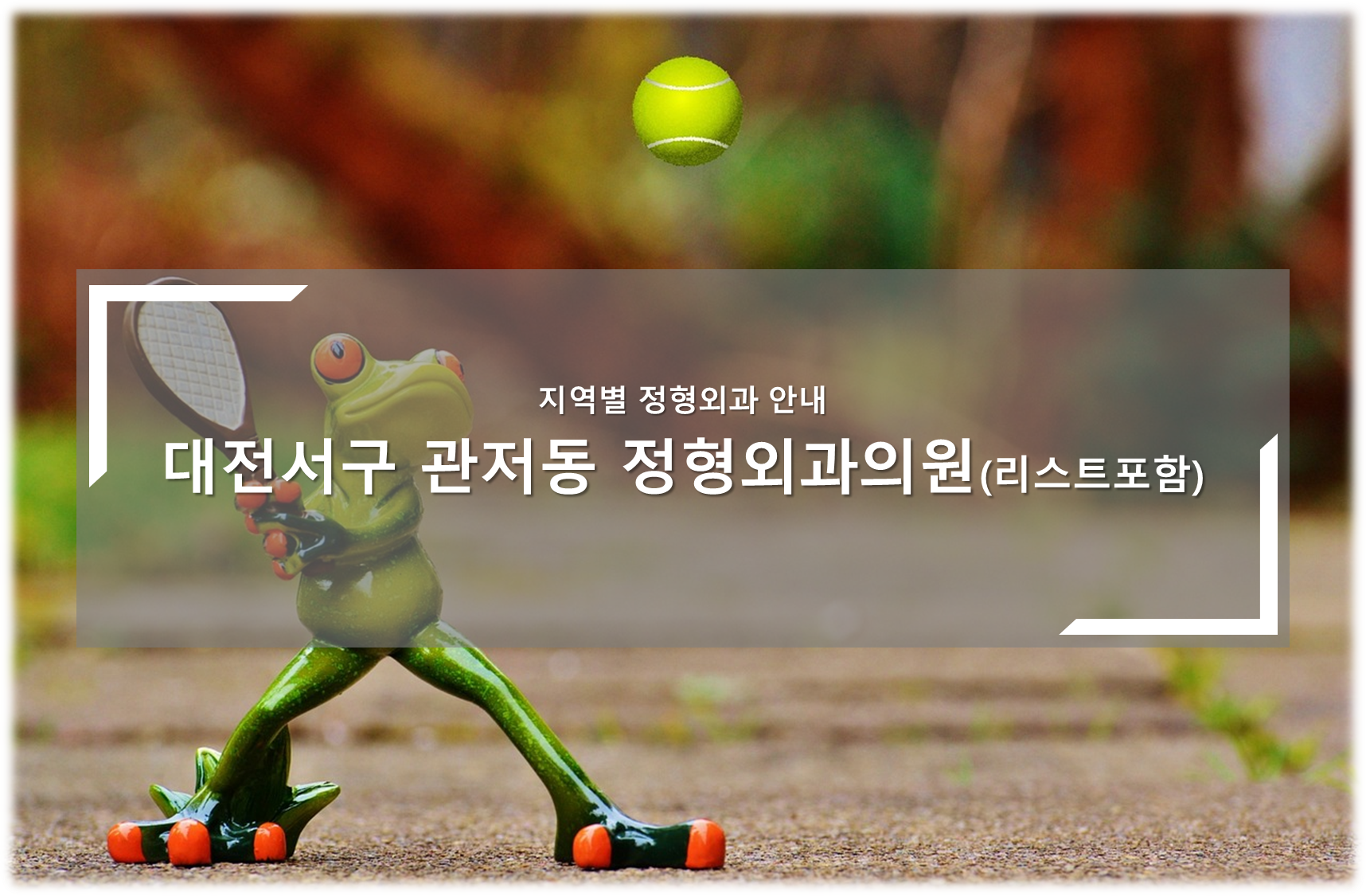 대전서구 관저동 정형외과의원 안내