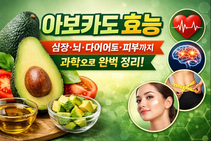 아보카도 효능 &mdash; 심장&middot;뇌&middot;다이어트까지 과학으로 증명된 슈퍼푸드
