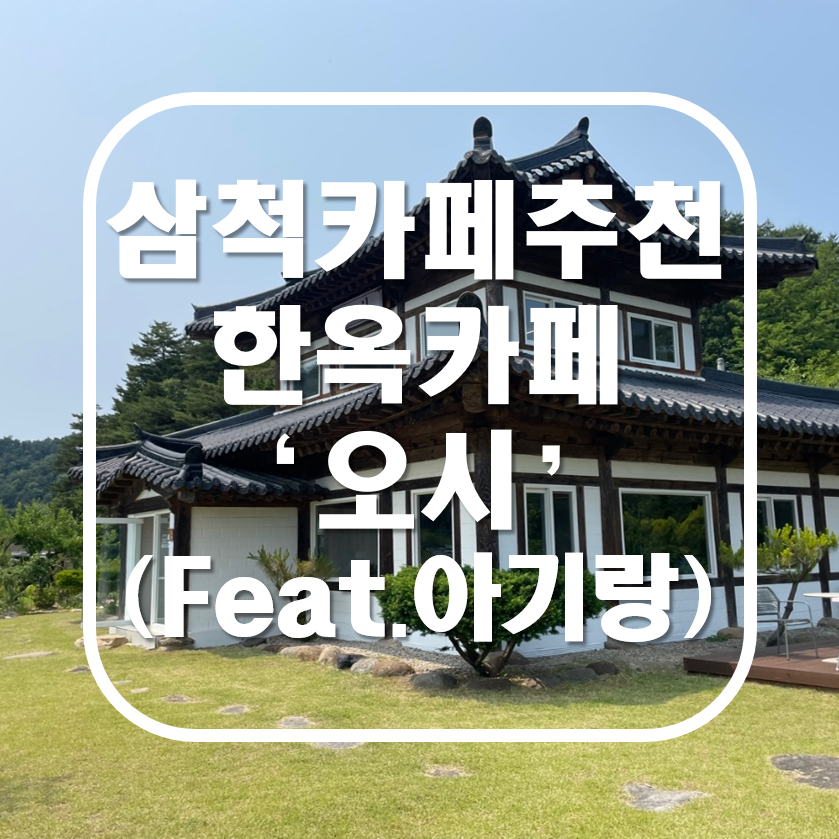 삼척 카페 추천 한옥카페 오시