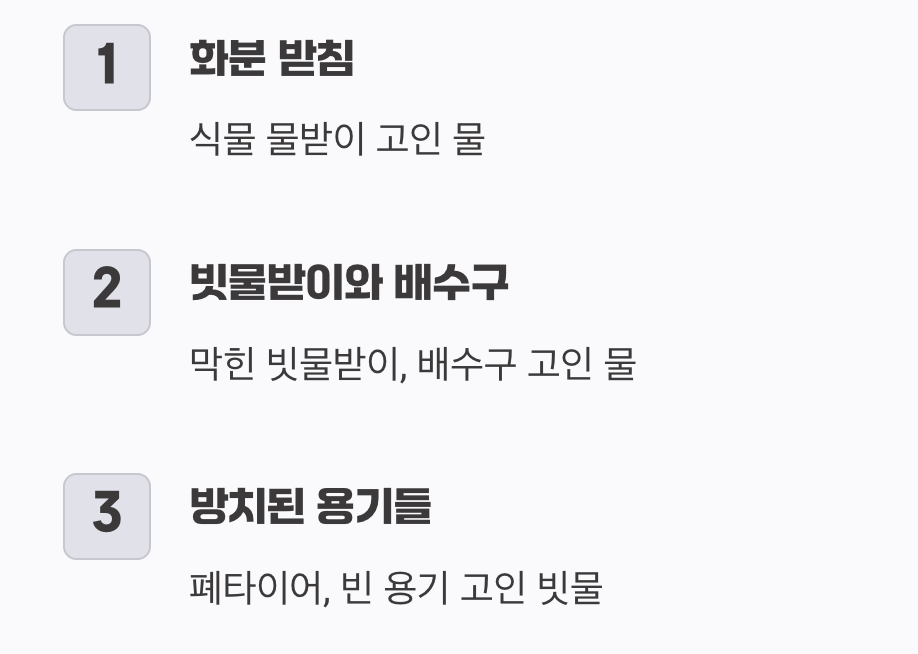 우리 집 숨겨진 모기 산란장 TOP 3