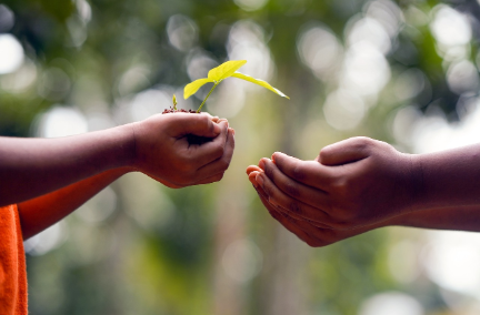 소셜미디어 세대의 기부 방식– 착한 소비에 대한 서로 다른 접근법