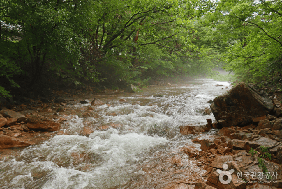 보은군 만수계곡