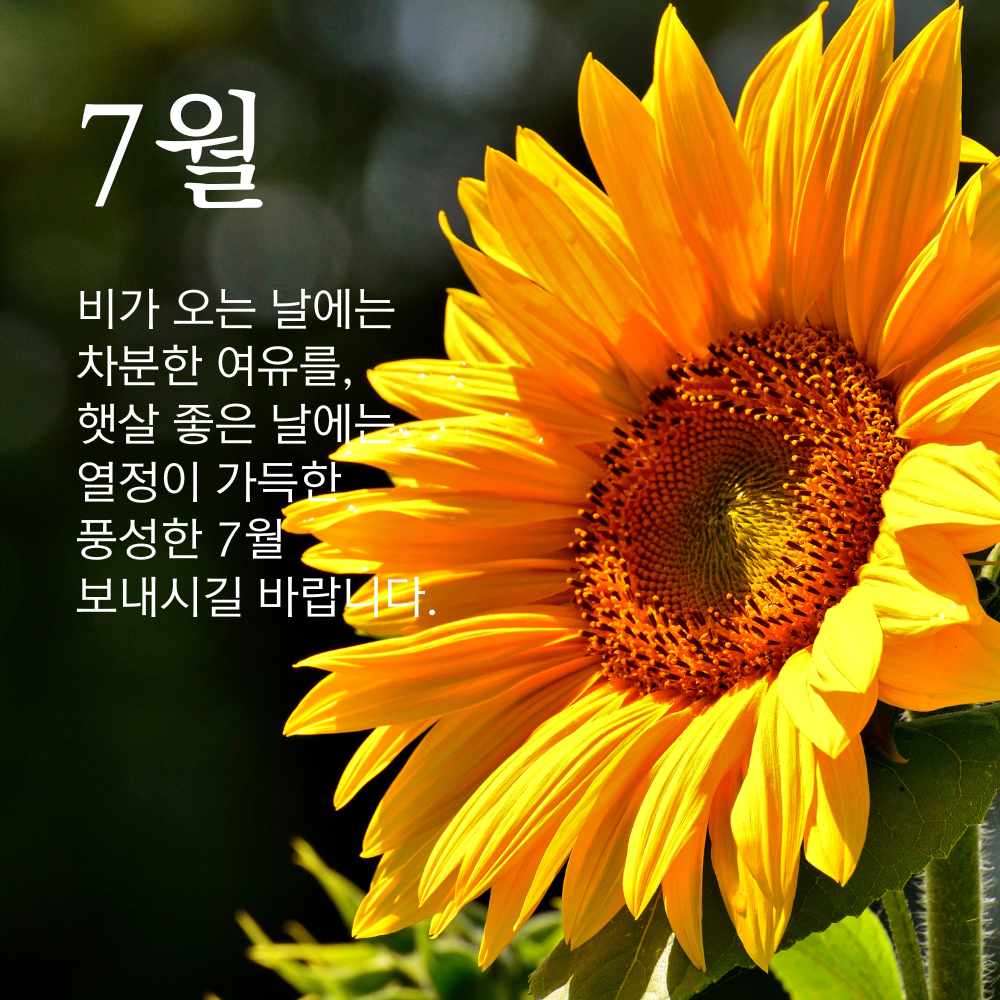 7월 인사말 문구 이미지 모음집 덕담 글귀