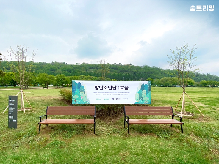BTS Forest; Trimming Project Image